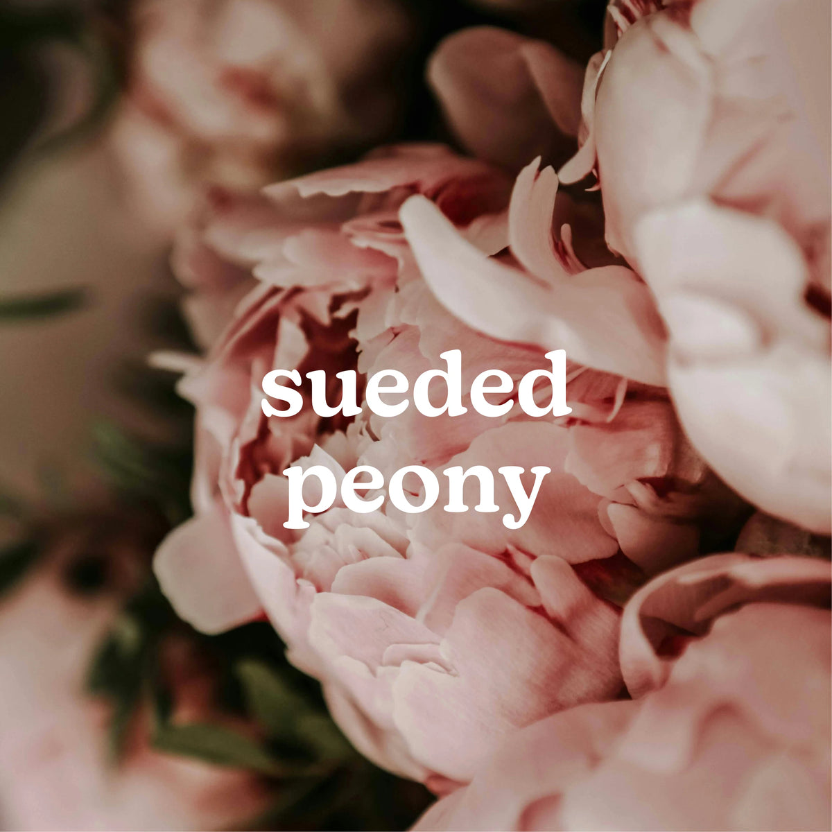 SereneScent™ Sueded Peony